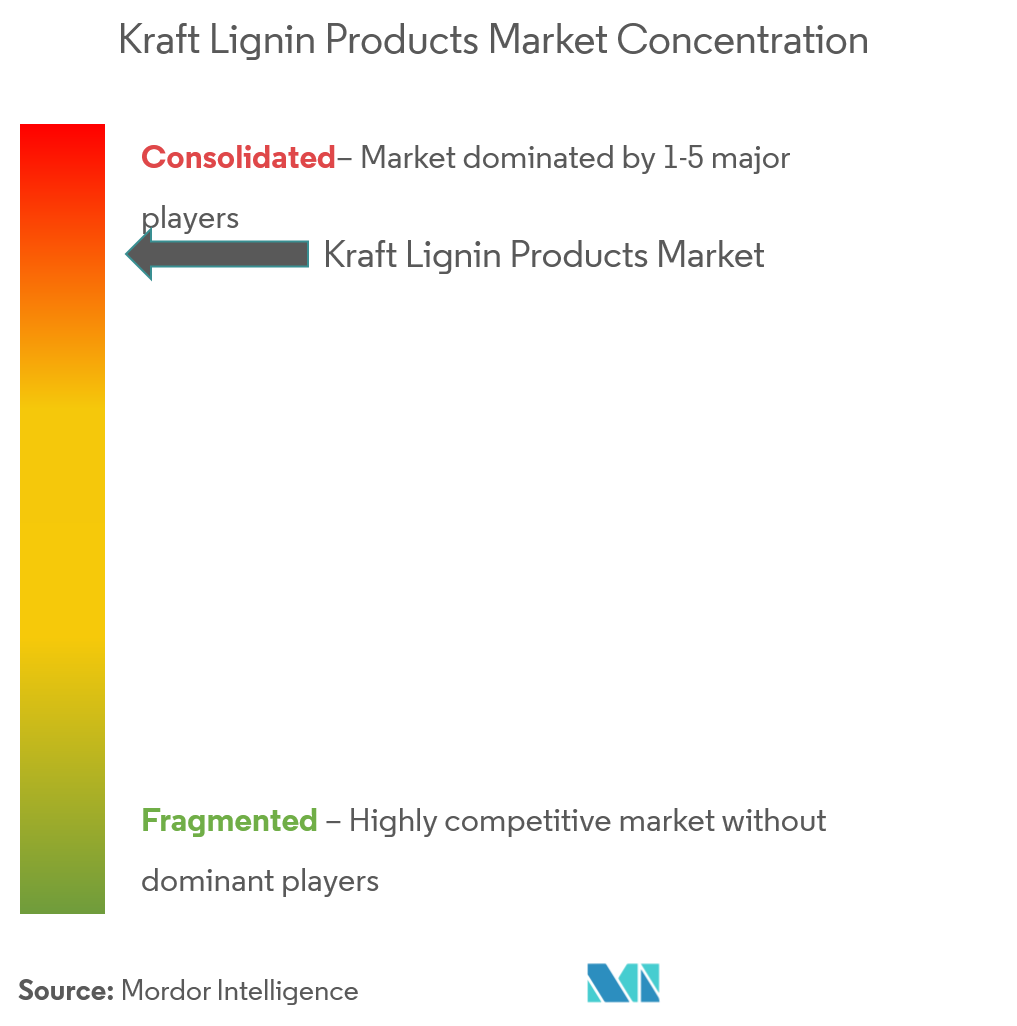 Kraft Lignin Products Market Concentration